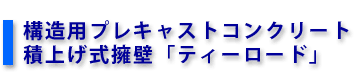 �\���p�v���L���X�g�R���N���[�g�Ϗグ���i�ǁu�e�B�[���[�h�v